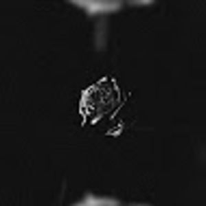 Meet your Posher, Isaiah